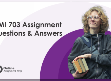 CMI 703 Assignment Questions & Answers