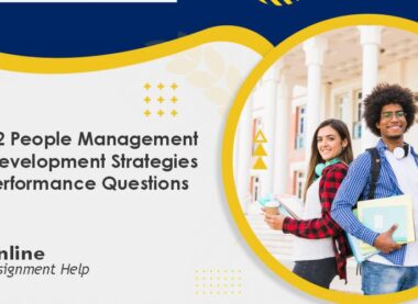 7CO02 People Management and Development Strategies for Performance Questions