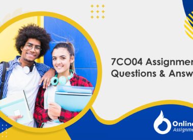 7CO04 Assignment Questions & Answers